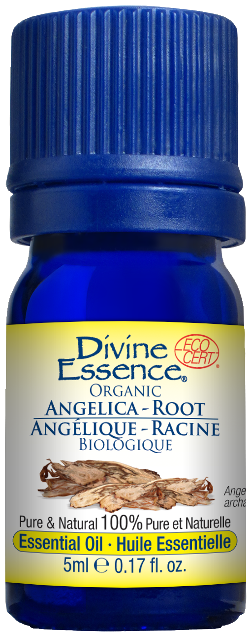 Angelica - Root 5ml