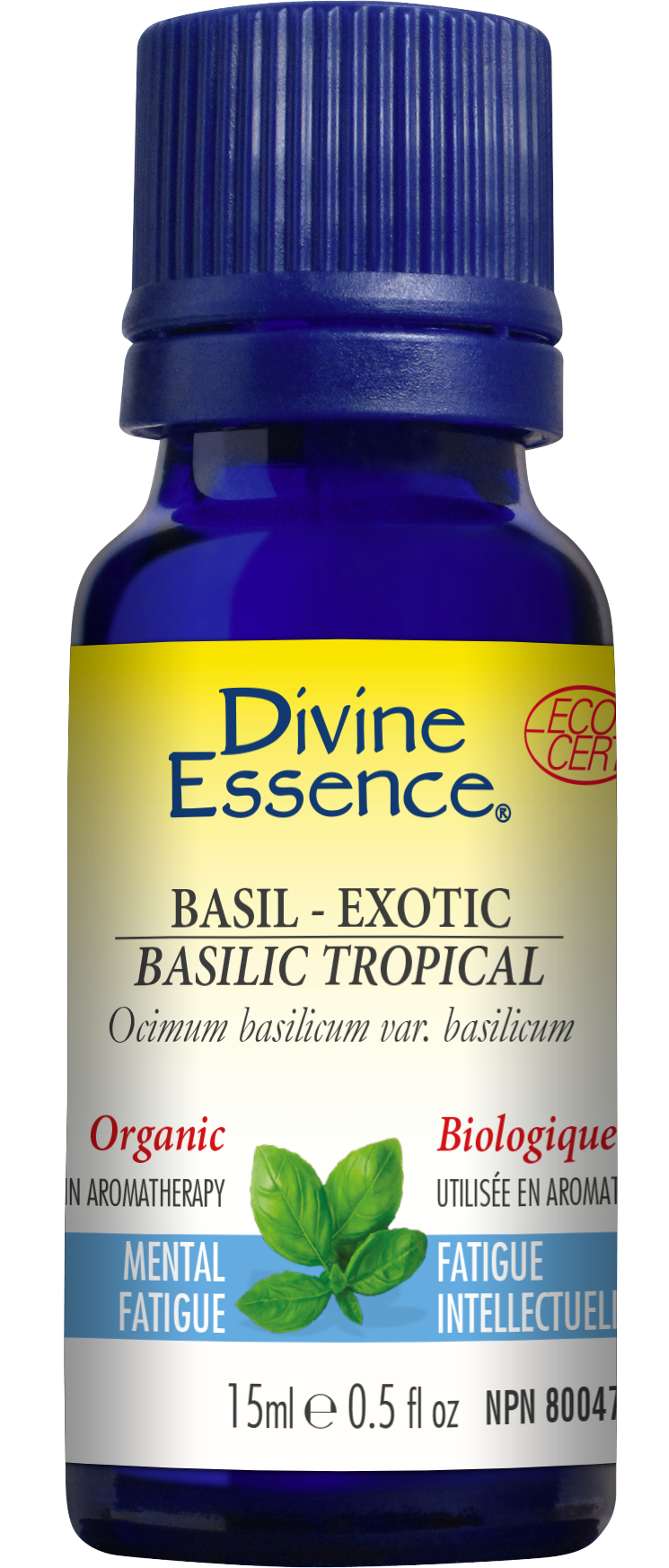 Basil - Exotic